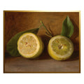 Antique Curiosities Inc Vintage Lemon Botanical Framed Print
