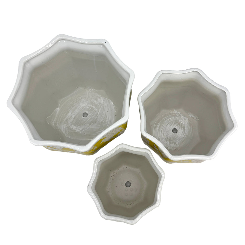 Ceramic Chinoiserie Planter Pots