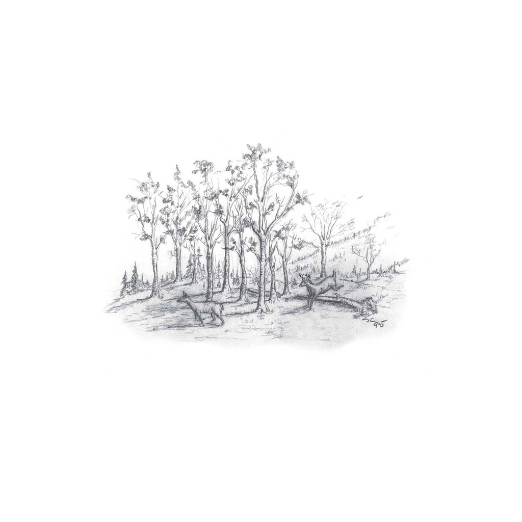 A Look at Life from a Deer Stand Deluxe Ed. Book - Outdoors