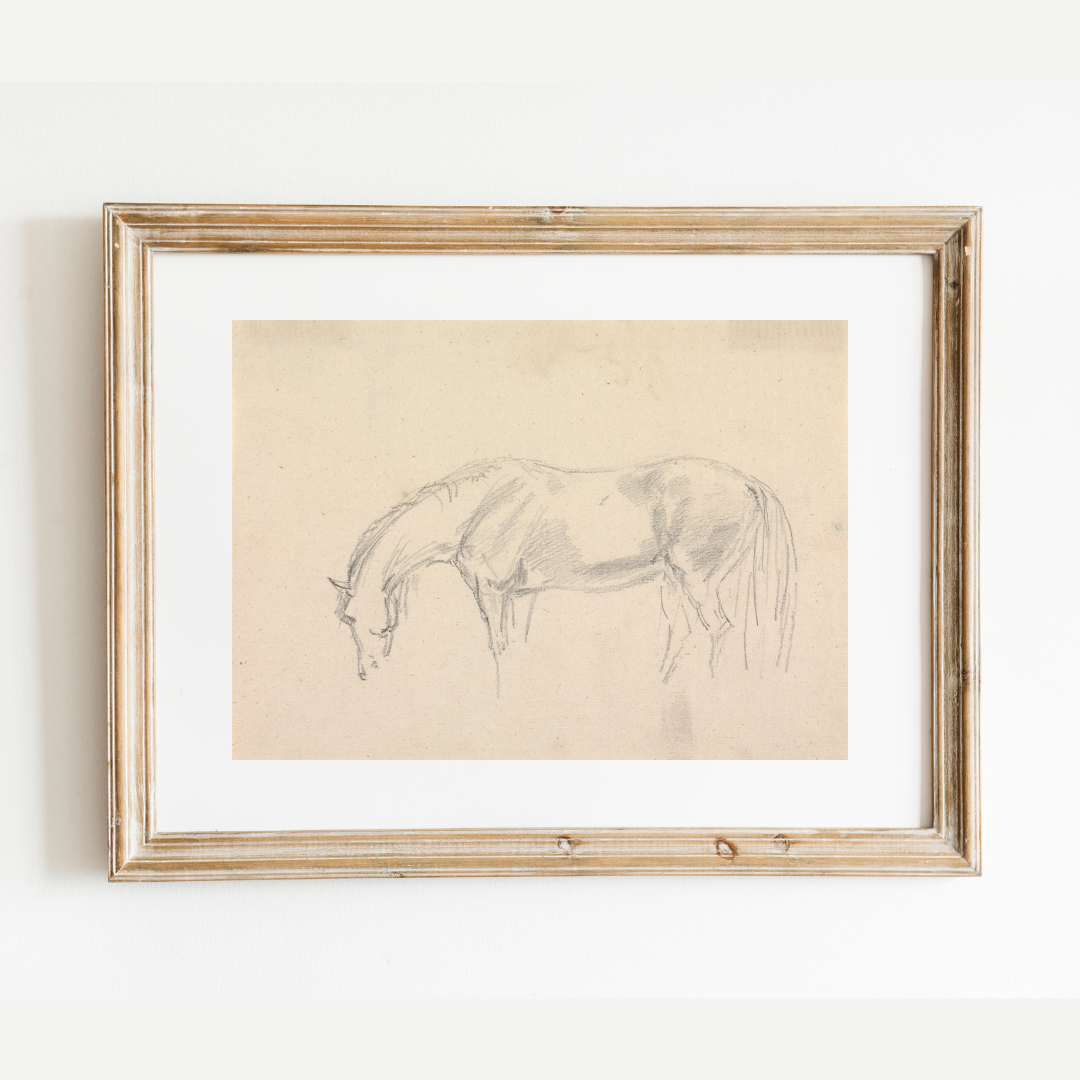 A Horse Grazing Sketch Antique Art Print