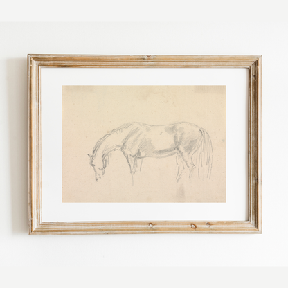 A Horse Grazing Sketch Antique Art Print