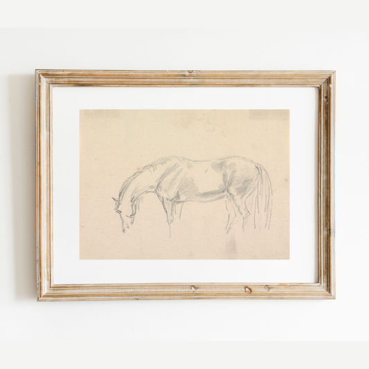 A Horse Grazing Sketch Antique Art Print