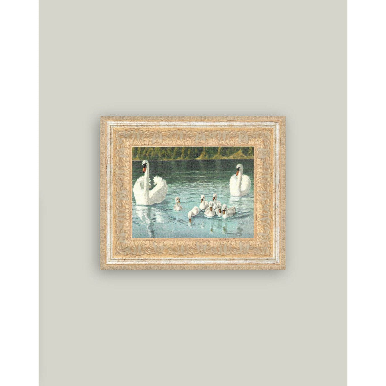 Swan Family Framed Antique Art