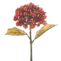 Dried Hydrangea Stem