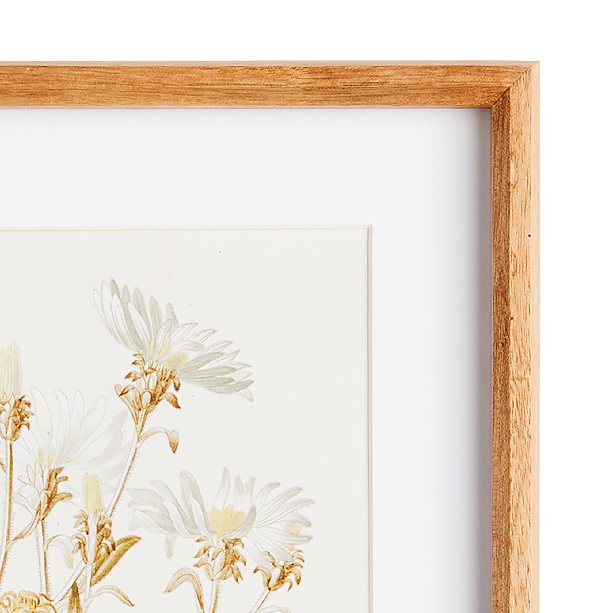 Fleur De Blanc Prints