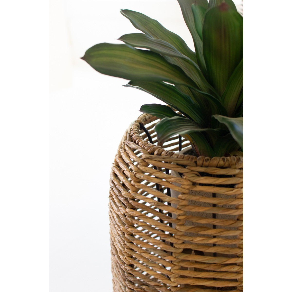Woven Seagrass Barrel Planters, Set of 2