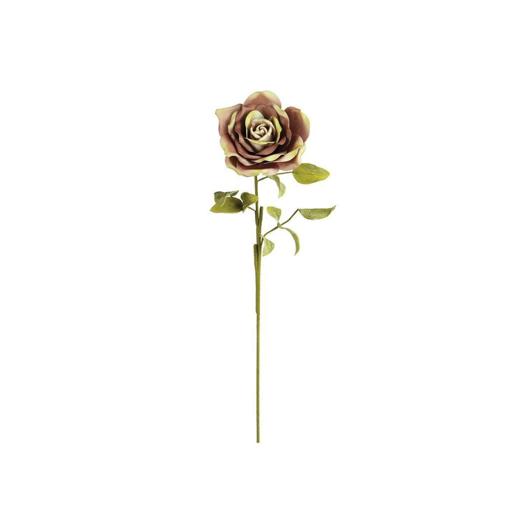Botanica #2704