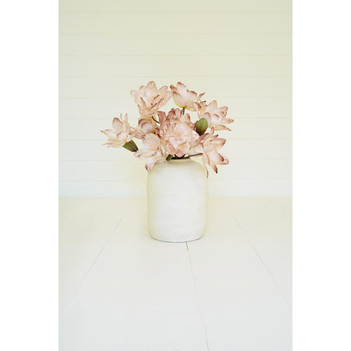 Botanica #3483