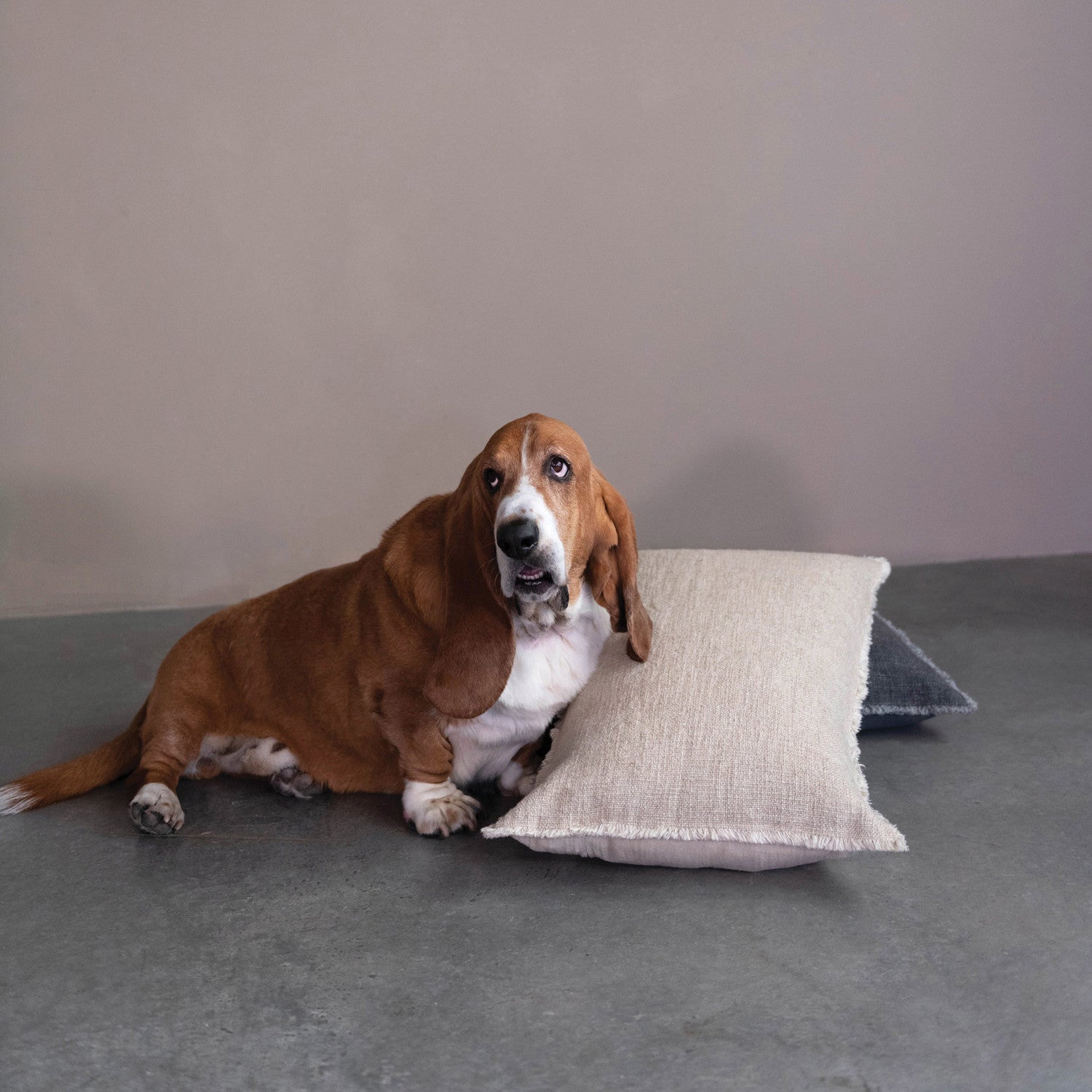 Lumbar Pillow with Frayed Edges