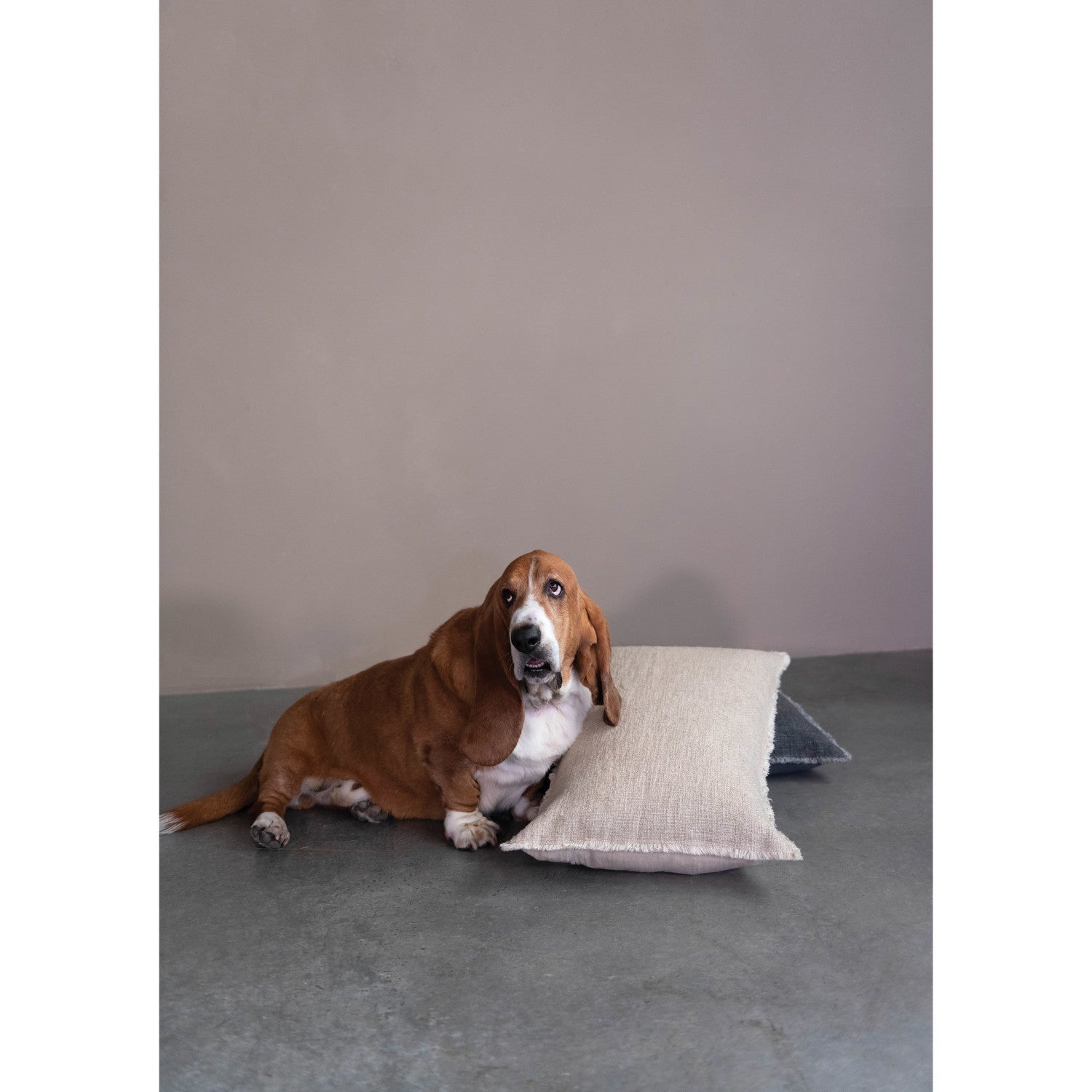 Lumbar Pillow with Frayed Edges