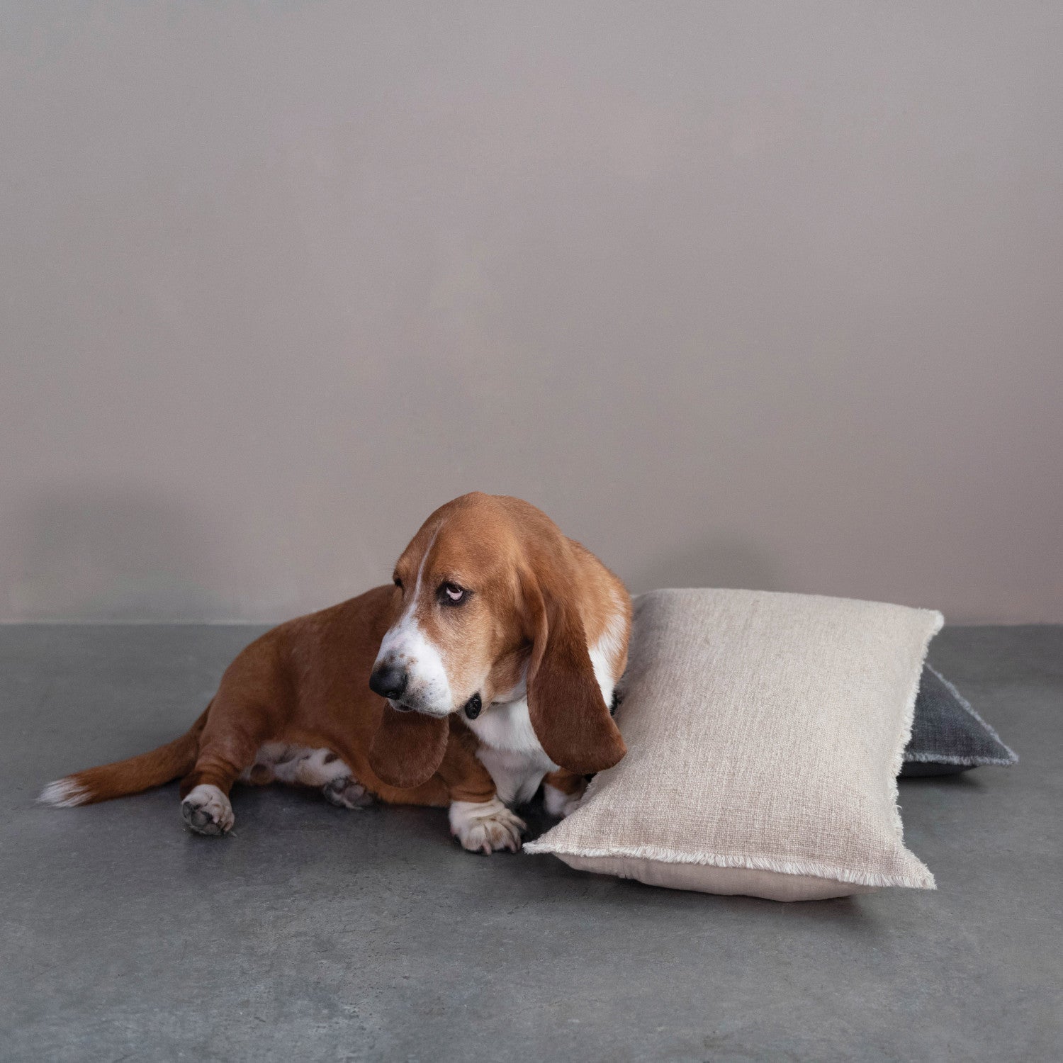 Lumbar Pillow with Frayed Edges