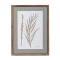 Framed Botanical Prints