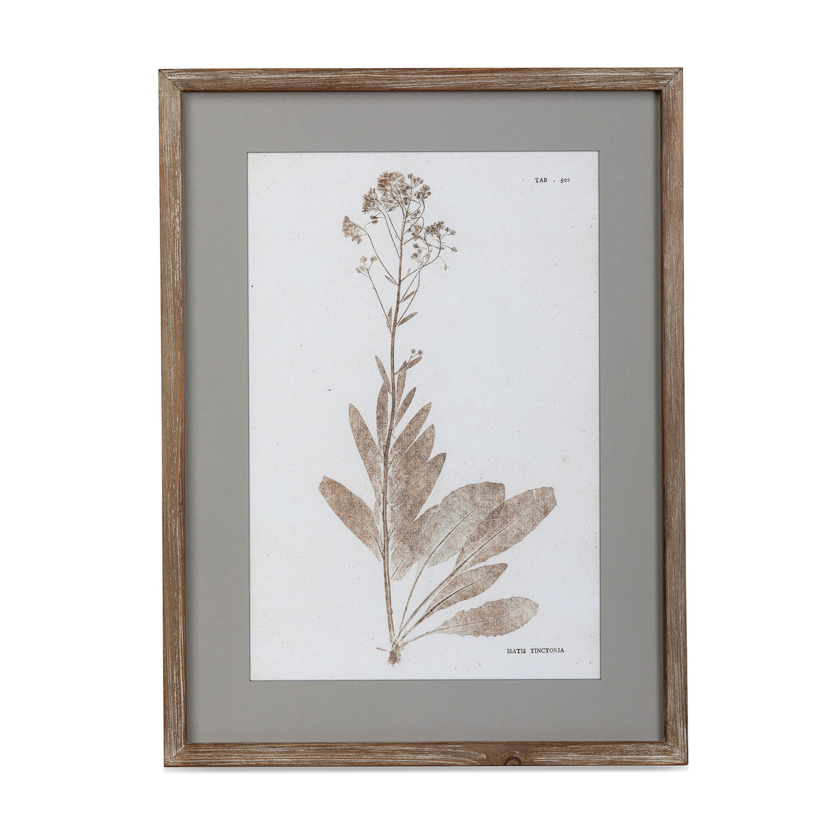 Framed Botanical Prints | Bridal Shower Lexi Hutchins & Kain Yates
