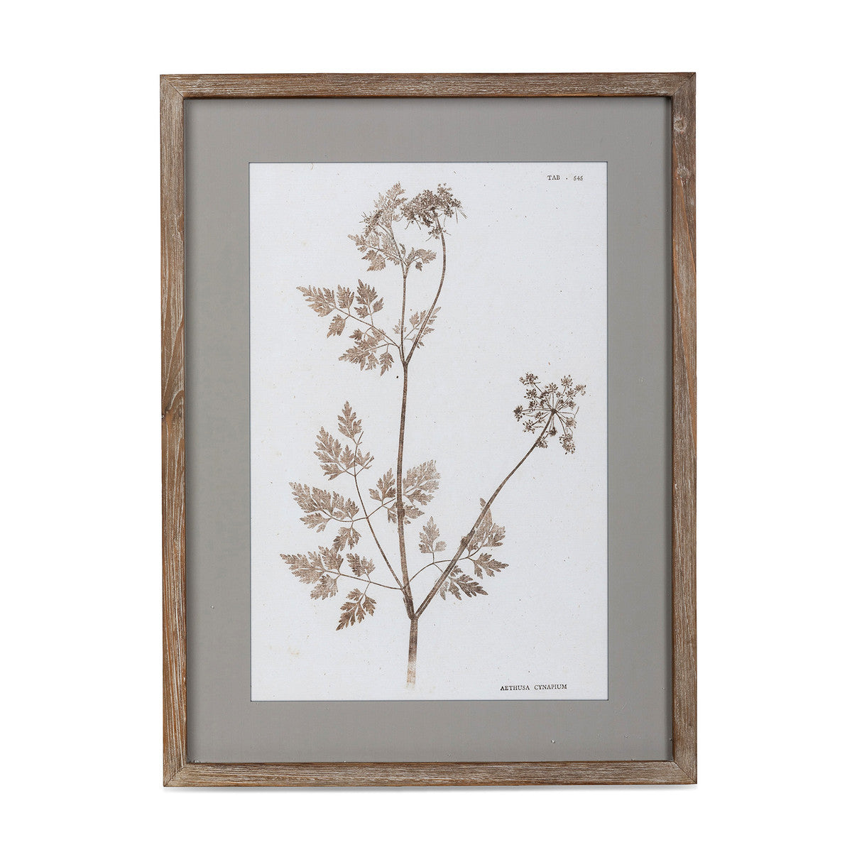 Framed Botanical Prints | Bridal Shower Lexi Hutchins & Kain Yates
