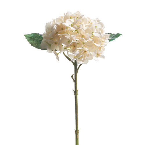 Cream Hydrangea Stem | Bridal Shower Sydnee Allen and Richard Busby