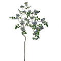 Purple Blossom Branch