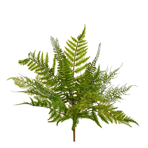 RAZ Imports Fern Bush