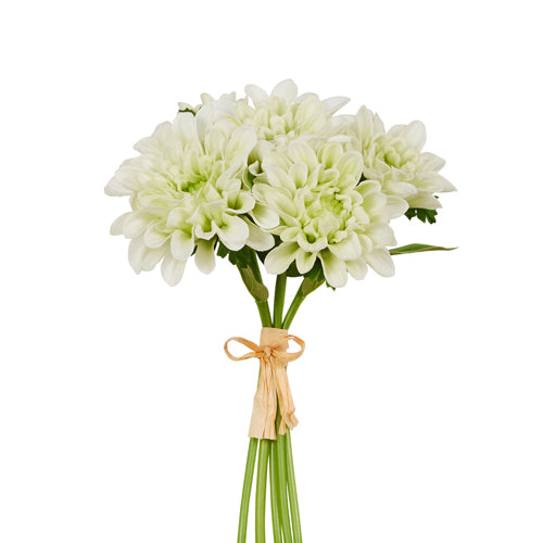 RAZ Imports White Floral Bundle