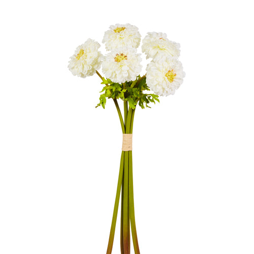 RAZ Imports White Zinnia Bulb Bundle