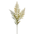 Fern Spray | Bridal Shower Kaitlyn Woodman & Trace Clark