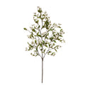 Dogwood and Ivy Branch