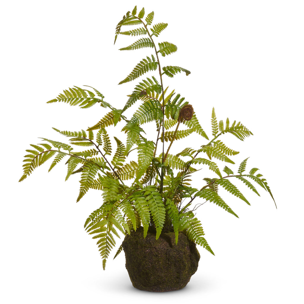 Fern Moss Drop In