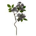 Berry Branch
