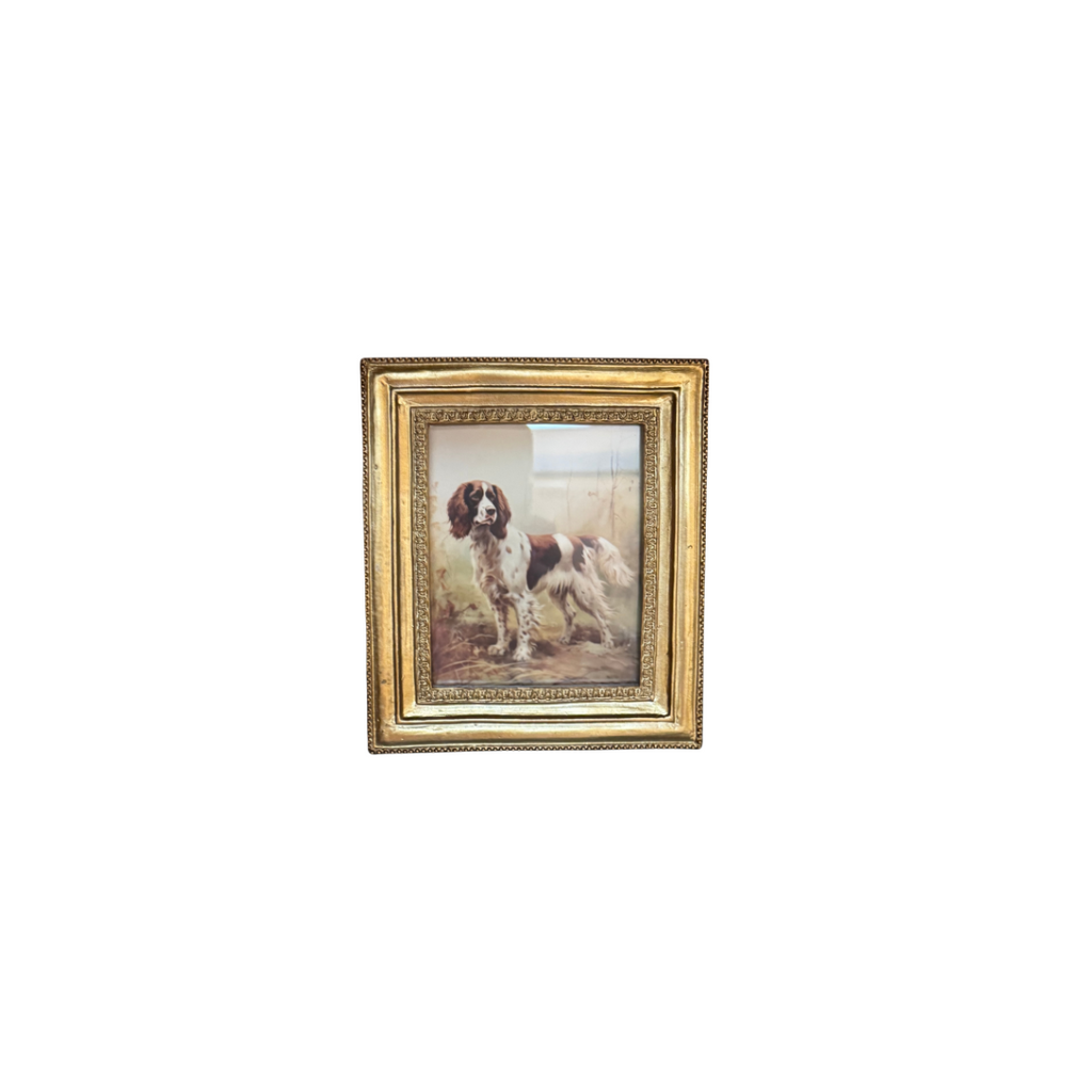 Vintage Bird Dog Framed Print