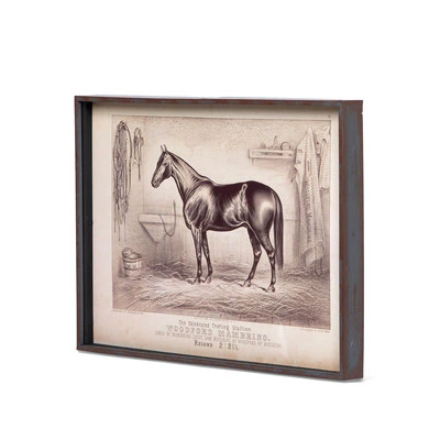 Prized Race Horse Framed Prints, 6 Assorted Styles
