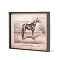 Prized Race Horse Framed Prints, 6 Assorted Styles
