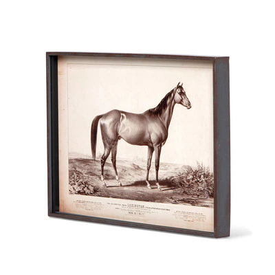 Prized Race Horse Framed Prints, 6 Assorted Styles