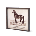 Prized Race Horse Framed Prints, 6 Assorted Styles | Bridal Shower Lieza Klein & Dylan Robbins
