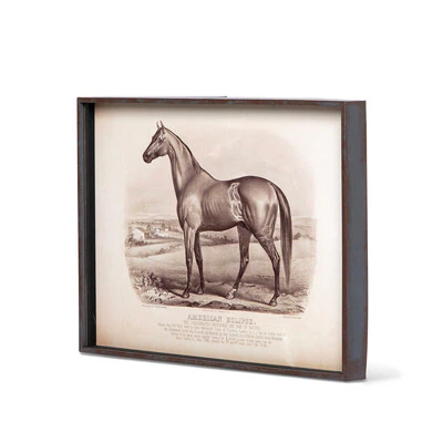 Prized Race Horse Framed Prints, 6 Assorted Styles