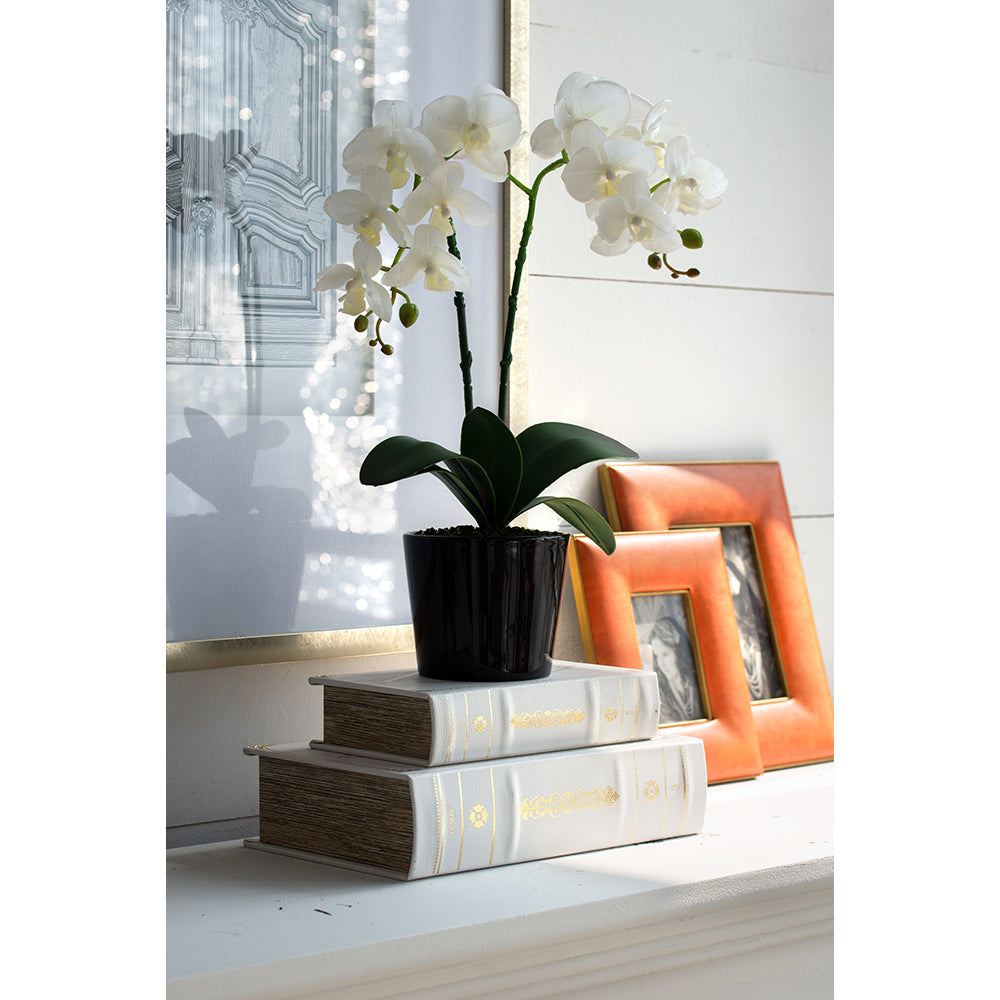 Bookboxes, Set of 2