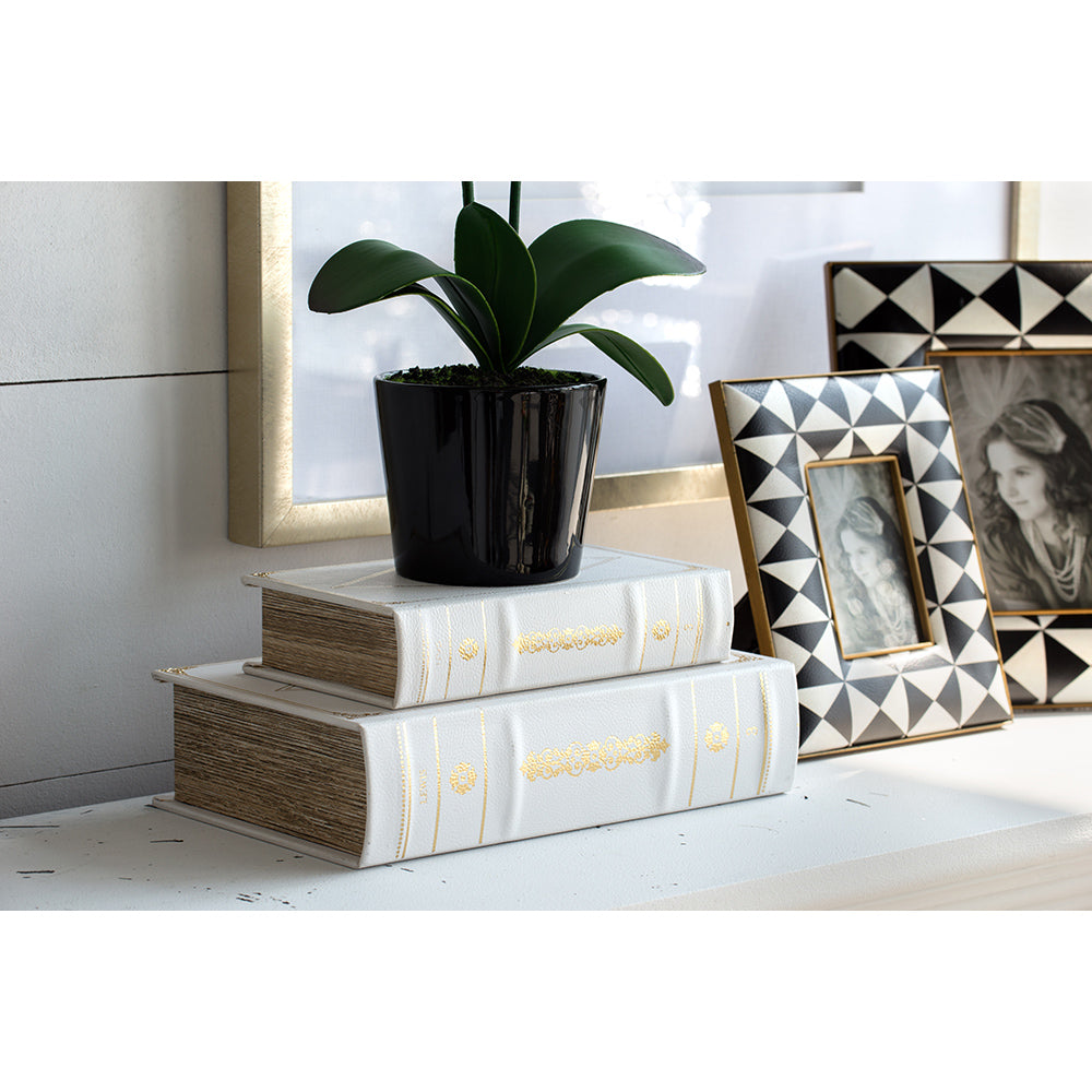 Bookboxes, Set of 2