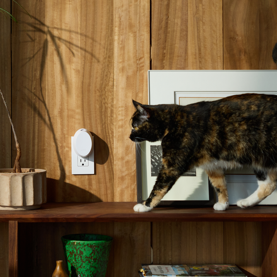 Cat on a shelf next to a white Pura mini device with wooden wall and books in the background