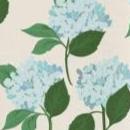 Women's Print Lounge Pants