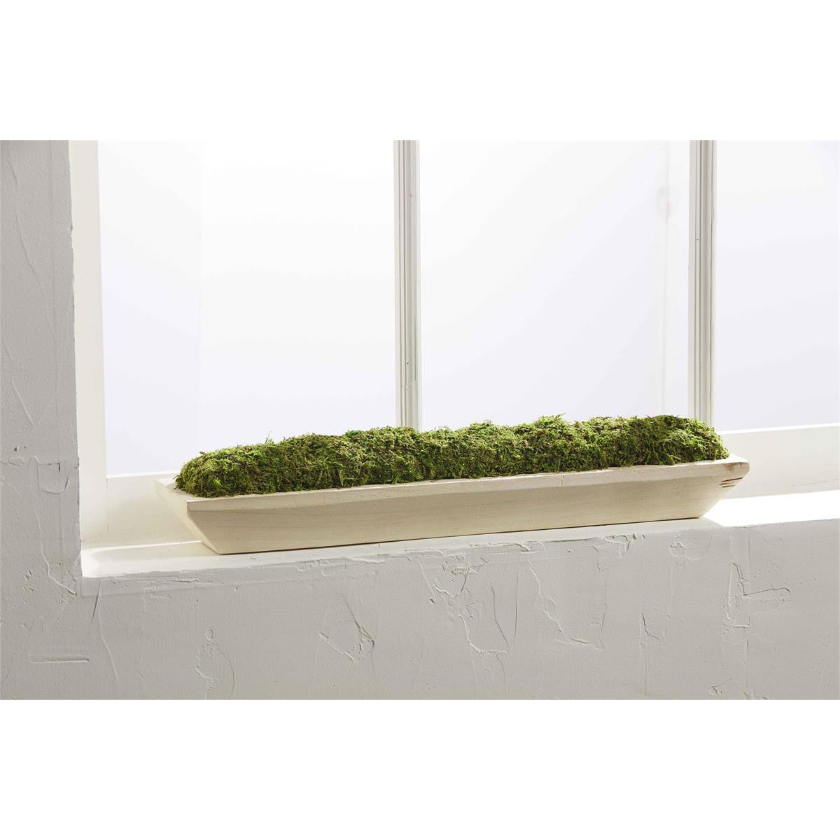 Moss Tray