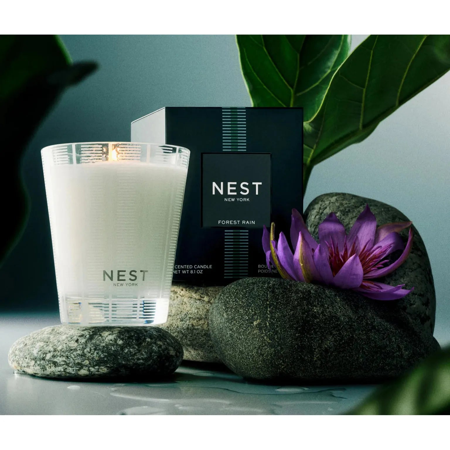 Classic Candle, Forest Rain