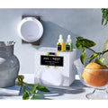 Pura Smart Home Fragrance Diffuser Set