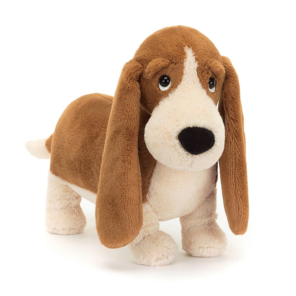 Randall the Basset Hound