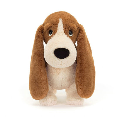 Randall the Basset Hound