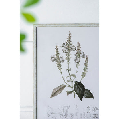 Botanical Prints, 4 Styles