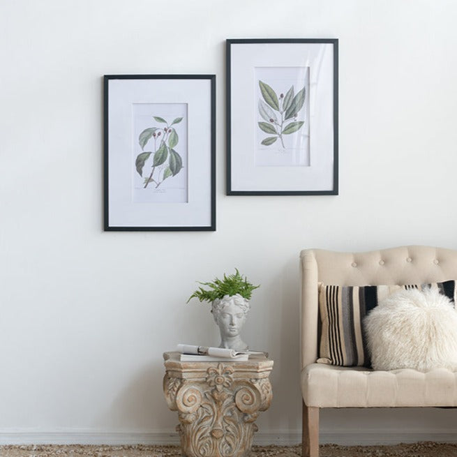 Botanical Wall Art