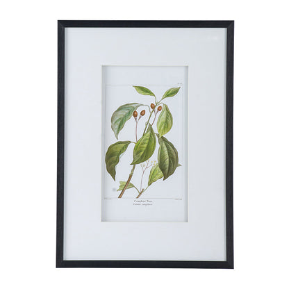 Botanical Wall Art