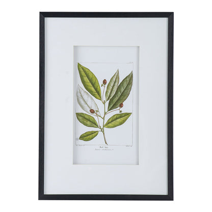 Botanical Wall Art