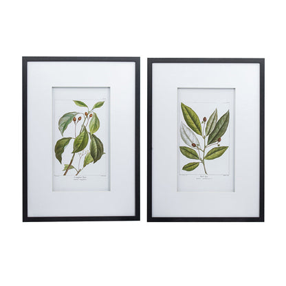 Botanical Wall Art