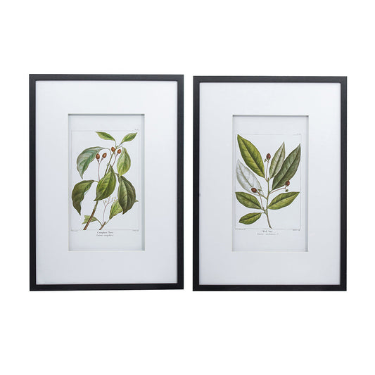 Botanical Wall Art