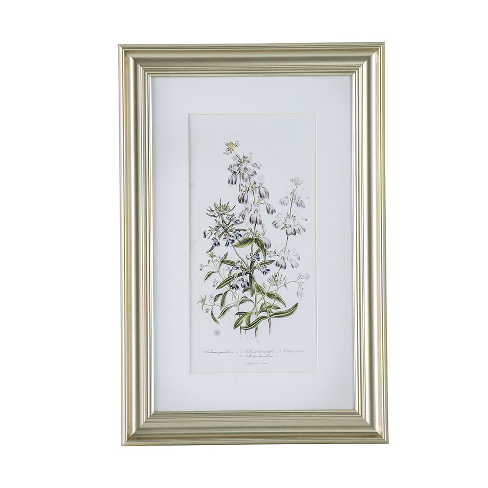 Meadow Study Floral Wall Art Collection