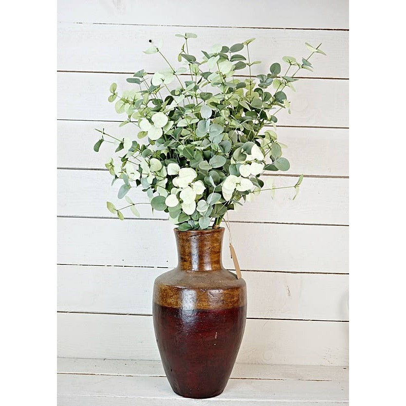 Silver Dollar Eucalyptus Bundle